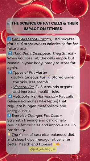 Understanding Fat Cells' Role in Fitness and Wellness