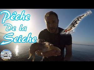 Technique de pêche de la SEICHE à la Turlutte / EGING