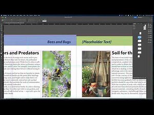 Lesson 3 24 InDesign 2025