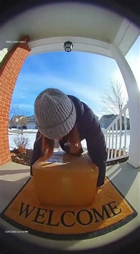 Porch Pirate BLASTED by sprinklers! #shorts #funny #ringdoorbell