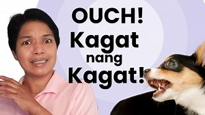 Do you have a hyperactive, play biting puppy? Puppy play biting can be very painful, annoying and even scary. In this video, I give you some tips for how to address this puppy behavior proactively, and towards the end of the video I'll share what you should do in case you do accidentally get bitten by your puppy. * This is an older video from YouTube from earlier this year, in case you're wondering about the Valentine's greeting :)* Looking for personalized dog training advice? Schedule an onlin