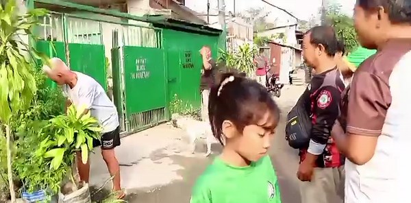 859K views · 6.1K reactions | PYTHON SEEN ATOP AN ELECTRIC POST IN...