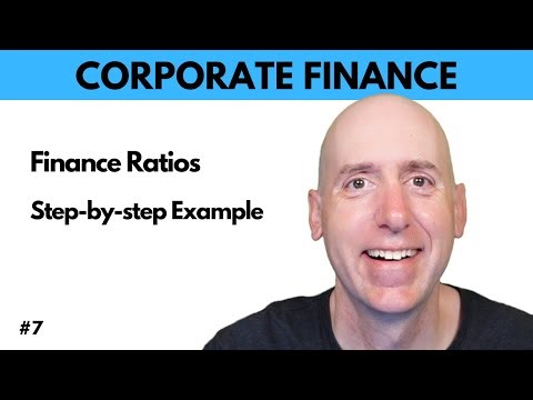 FIN 7 Ratios - 25 Sample Ratio Calculations