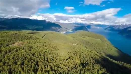 （转载）折磨莫妮卡10分钟（莫粉慎入）