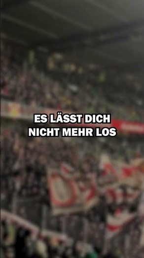 Top 100 Fan Chants of Germany - 21st Place - VfB Stuttgart