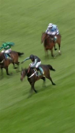 In 2019, Altior won the bet365 Celebration Chase at Sandown to claim his 19th consecutive victory 🤩