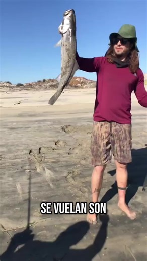 Captura Increíble en el Estero de Ensenada