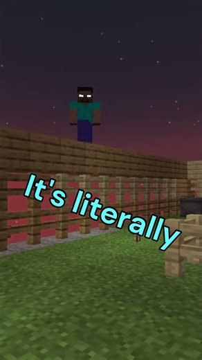 REAL Herobrine Sighting 2026 #minecraft #herobrine