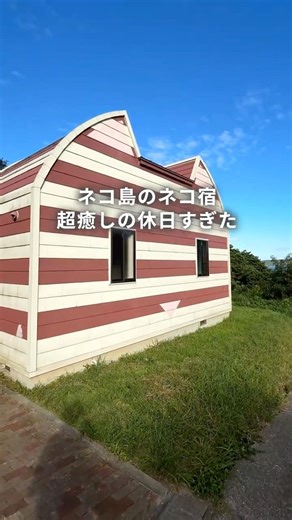【東北旅】日本一有名な猫島で見つけた宿、想像を超える非日常体験だった件😎