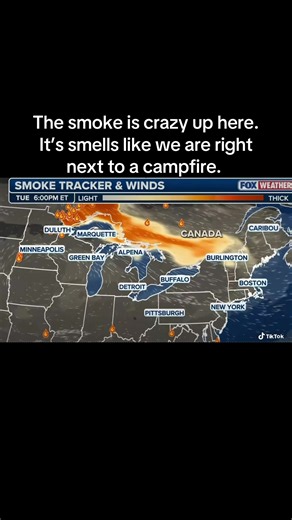 #wildfire #canada #usa #fire #fypシ゚viral | canada