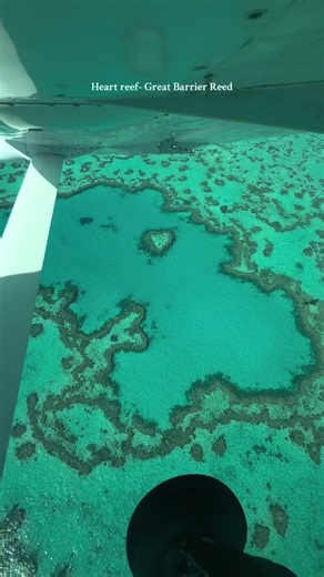 Heart reef- Great Barrier Reef #greatbarrierreef #heartreef #australia @My Adventure Project