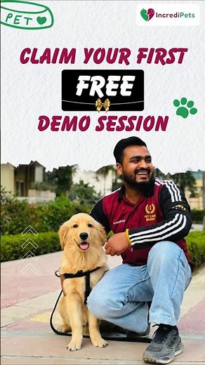 Free Dog Training Trial - Try Now! #pets #cutedog #goldenretriever