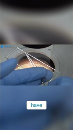 Nanocrystal Coating Made EASY Dip Your Way to Science!