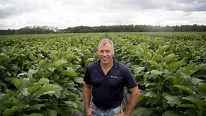 Collier County, Seed to Table resolve code dispute over employee parking lot