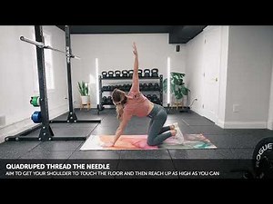Quadruped Thread the Needle