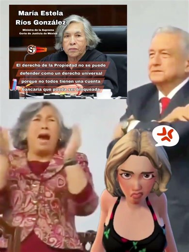 El derecho de propiedad no se puede defender como si fuera un derecho universal, dice la ministra