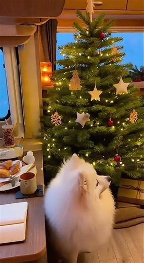 С добрым утром,25 Декабря