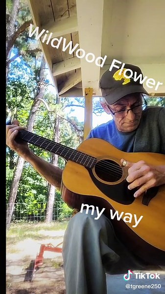 Mastering the Banjo: Tips and Techniques for Beginners