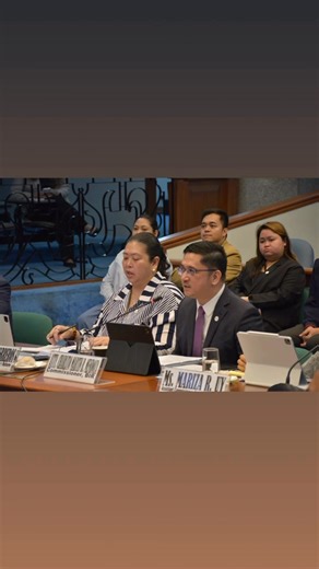 BIR Presents Key Audit Reforms to Senate Blue Ribbon Committee* The Bureau of Internal Revenue (BIR) today briefed the Senate Blue Ribbon Committee on key features of its strengthened tax audit framework under Revenue Memorandum Order (RMO) No. 1-2026. These reforms address taxpayers’ concerns and make tax audits fairer, more predictable, and more transparent. Opening his presentation, BIR Commissioner Charlito Martin R. Mendoza noted that the Bureau formed a technical working group to review an