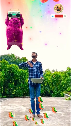 Flying crying babies Catching, danching bhabhi vs hen & parrot funny video #trending #shorts #vfx 😃👍