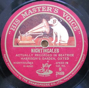 No Artist - Nightingales / Dawn In An Old World Garden