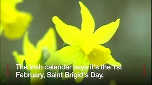 4.8K views · 47 reactions | Is it the first day of spring? BBC Archive investigates... | BBC Archive | Facebook