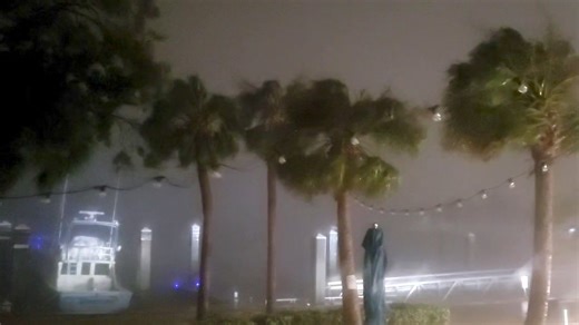 217K views · 2.8K reactions | Some of my clips from south Pinellas during landfall. Pretty intense yes! | Mike's Weather Page | Facebook