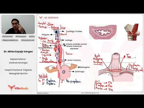 GENERALITIES OF THE ESOPHAGUS PART 1 - GASTROENTEROLOGY - VILLAMEDIC