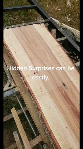 This is why nobody will mill yard trees. #pecan #precisiontreenc #ouch #sawmill