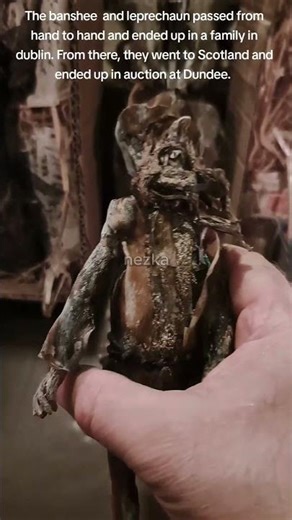 botanical Homunculus