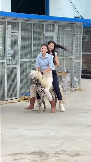 Double riding on our pony just for fun
