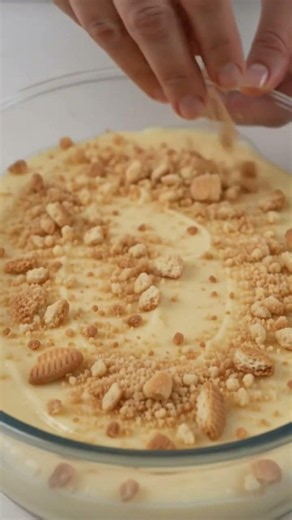 Creamy Vanilla Biscuit Pudding