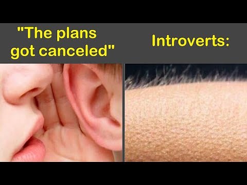 Hilariously Relatable Introvert Memes To Scroll Through Instead Of Going Out | Humor Sweet