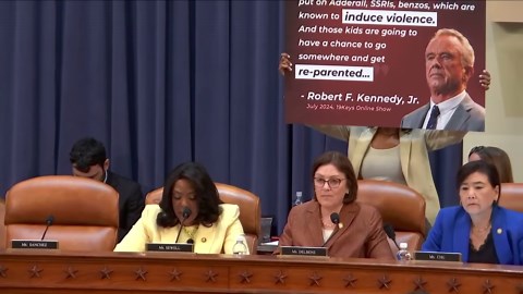 'You said that!': RFK Jr. earns himself brutal scolding for wanting Black children 're-parented' in tense House hearing