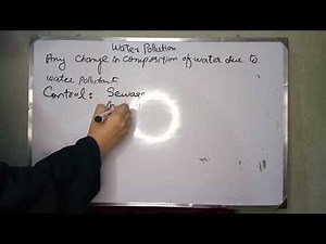 Water Pollution| Ch 16| Class 10 Biology
