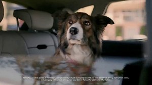 2022 Audi Q5 TV Spot, 'Own the Elements' [T1]