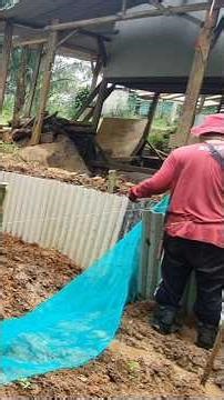 Install a pond divider net. #ponds