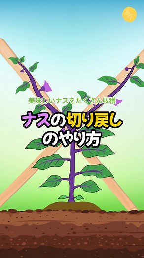初心者向けナスの切り戻し解説