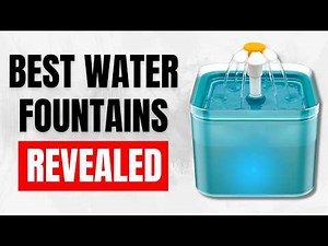 Best Cat Water Fountains for a Healthier Cat (Keep Your Feline Hydrated!)