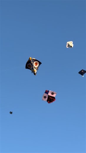 20 Tawa vs 6 Tawa: A Kite Flying Showdown in Pakistan