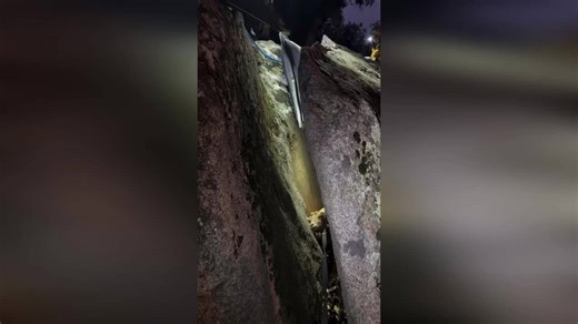 Family's pet goat stuck between two rocks is rescued in San Diego