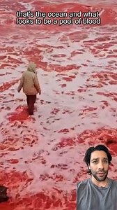 CRAZY FOOTAGE Bloody Beach! | How to Survive Show