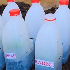 7.8M views · 25K reactions | Helpful hacks for your garden and plants! | 5-Minute Crafts Play | Facebook