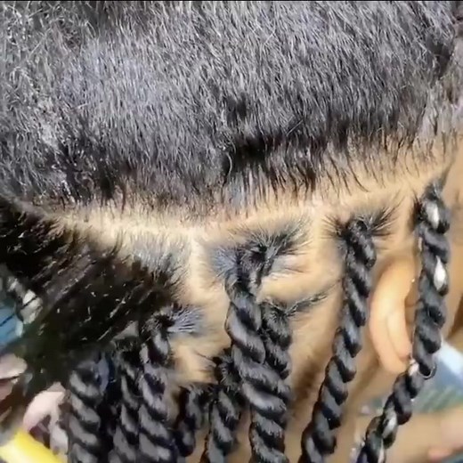 A Closer look on Two-Strand Twist #howto #braidsconnect #tutorial | Braids Connect