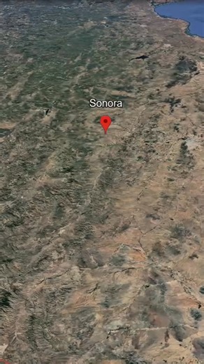 Enero es perfecto para definir tu camino comercial. Con la base de Sonora, tu prospección inicia con orden, claridad y empresas reales afines a tu mercado. Cada contacto cuenta más cuando la información es confiable. Haz que el inicio del año cuente. #directorioempresarial #basesdedatos #telemarketing #emailmarketing | Base de datos PPM