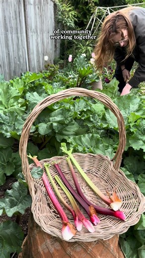 What I do with my spare rhubarb…🩷🍞
