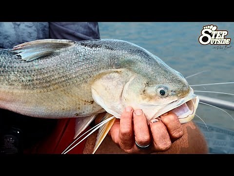 The Perfect Setup for Threadfin Salmon – Rods, Reels & Pro Lures | Step Outside with Paul Burt