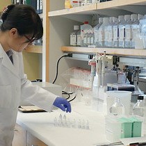 Video: Quantitative Analysis of Alternative Pre-mRNA Splicing in Mouse Brain Sections Using RNA In Situ Hybridization Assay