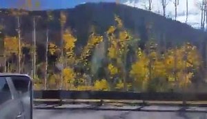 28K views · 285 reactions | WOLF CREEK PASS | Max Bishop | Facebook