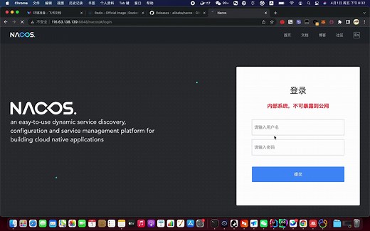 5.Docker安装Nacos单机方式、Mysql方式、Mysql 集群方式 | SpringBlade(BladeX)视频入门教程 试看